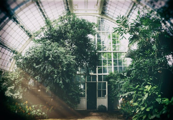 Decors De Jardin