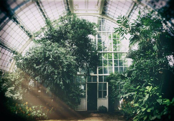 Les avantages de posséder une serre de jardin