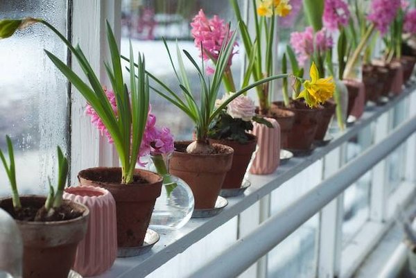 Comment ajouter une touche personnelle à votre jardin avec des objets de récupération ou des souvenirs de voyage ?