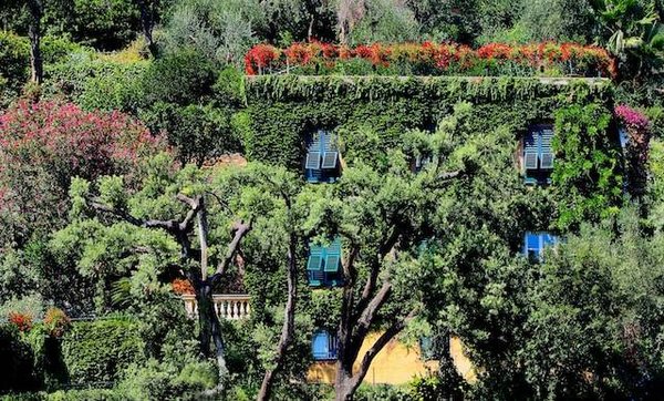 Comment protéger et entretenir votre décoration de jardin face aux intempéries et aux changements climatiques ?