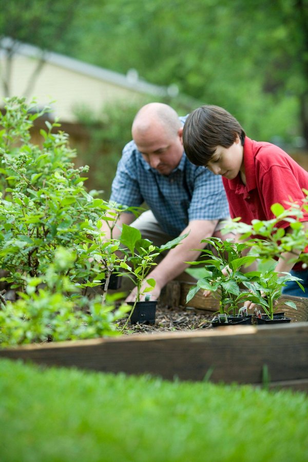 Les principes du jardinage écologique pour une décoration de jardin respectueuse de l'environnement