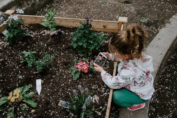 Des idées de jeux et loisirs à pratiquer dans votre jardin