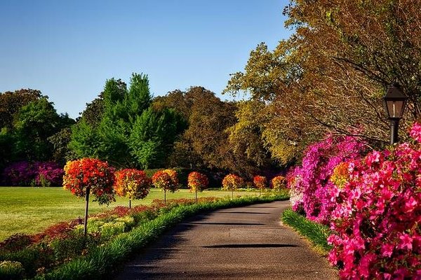 Comment aménager son jardin avec l'aide d'un paysagiste à Bidart ?