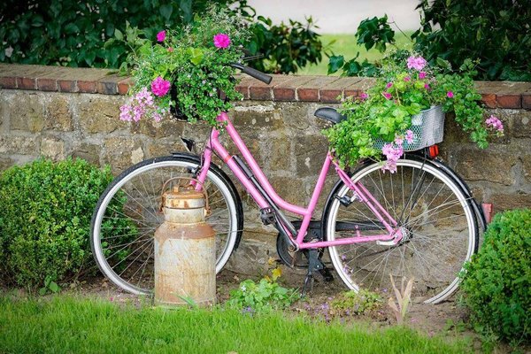 5 astuces gratuites pour décorer son jardin